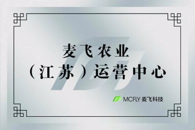 阜宁人才网最新招聘动态，探寻职业发展的无限机遇